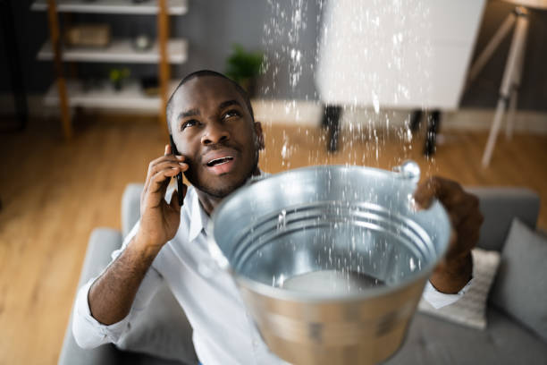 Best Water damage restoration services  in Pocono Ranch Lands, PA