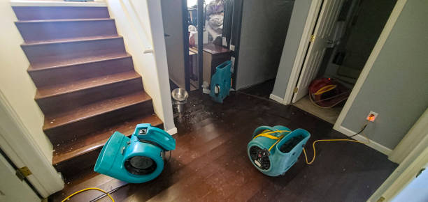 Best 24-hour water damage restoration  in Pocono Ranch Lands, PA