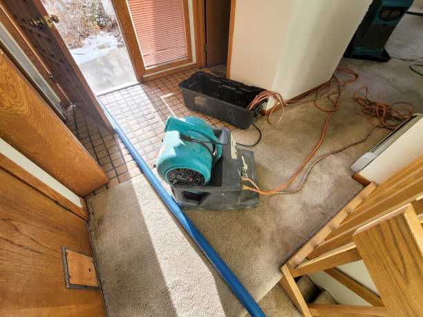 Best Local water damage restoration  in Pocono Ranch Lands, PA