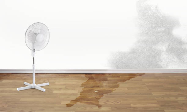 Best Residential water damage restoration  in Pocono Ranch Lands, PA
