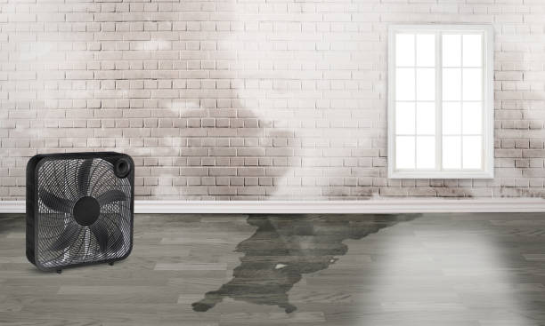Best Water damage contractors near me  in Pocono Ranch Lands, PA