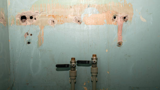 Best Water damage restoration mold remediation  in Pocono Ranch Lands, PA