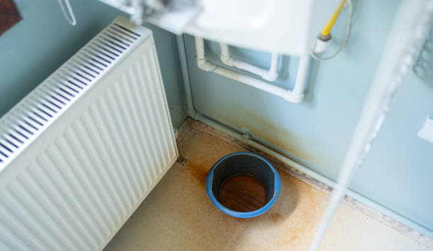 Best Flood damage cleanup  in Pocono Ranch Lands, PA