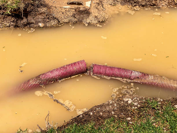 Best 24/7 water damage repair  in Pocono Ranch Lands, PA