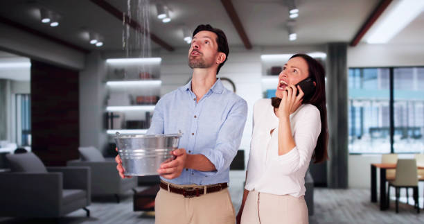 Best Water damage restoration near me  in Pocono Ranch Lands, PA