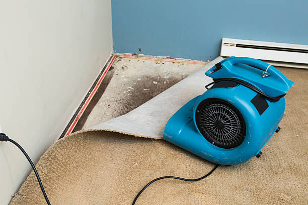 Best Water damage restoration insurance claims  in Pocono Ranch Lands, PA
